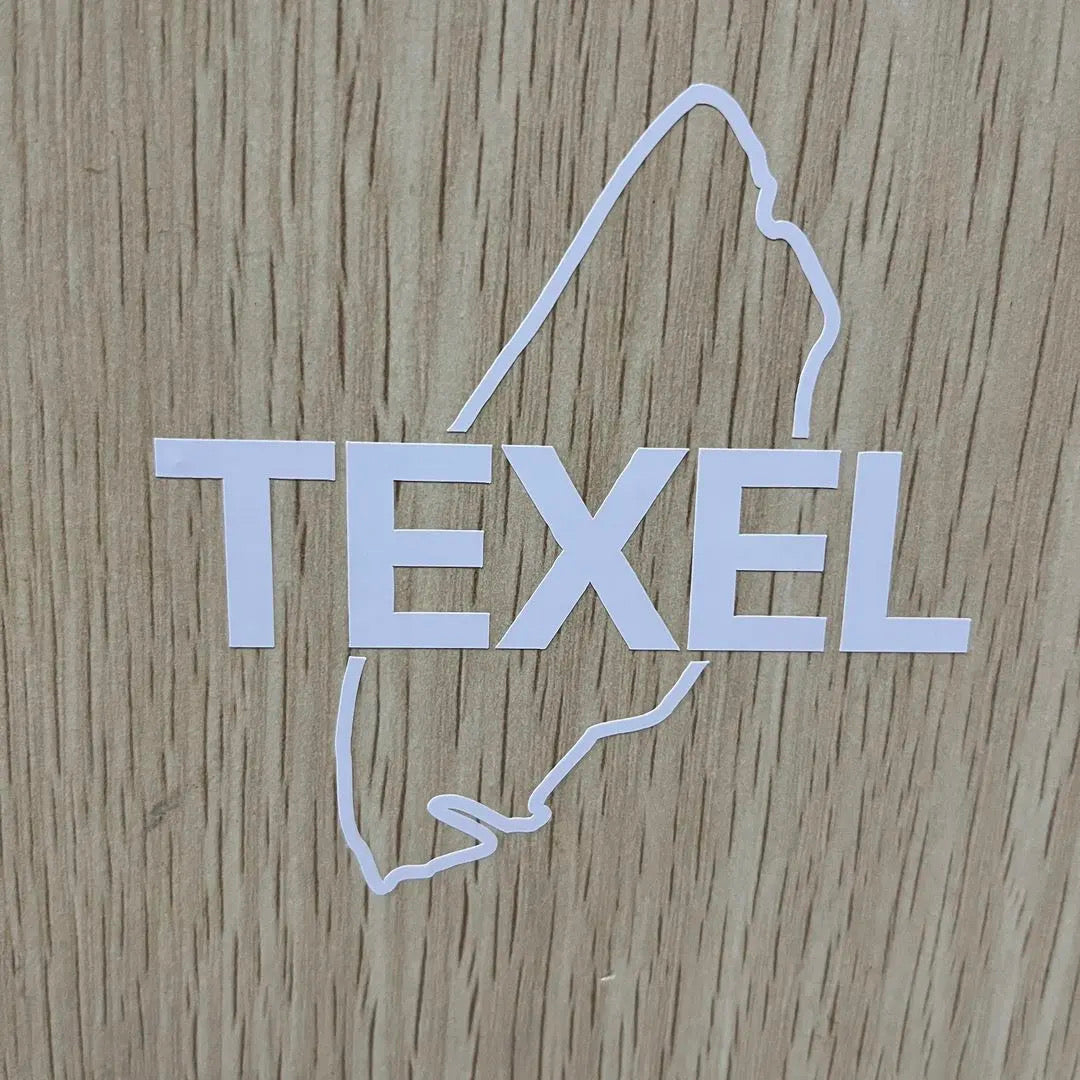 Texel Auto Sticker  8x8 cm
